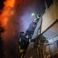 evgenymaloletka2026_10_14_17_38_508964fa92-cee0-4419-b73e-41ab0e38d86e